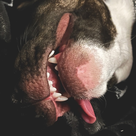 Moi - Picture 3 of 6